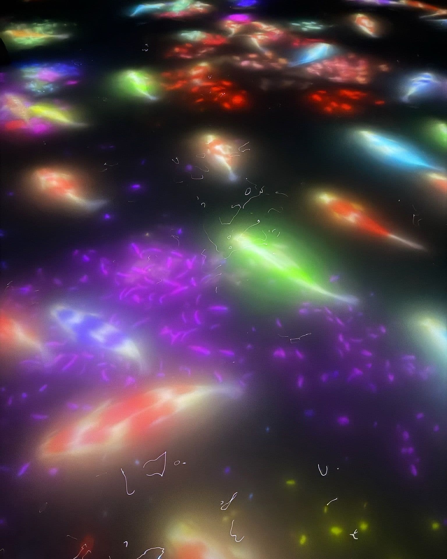 teamlab Planets Tokyo