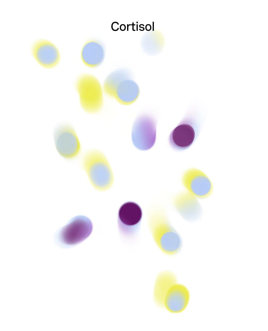graphic