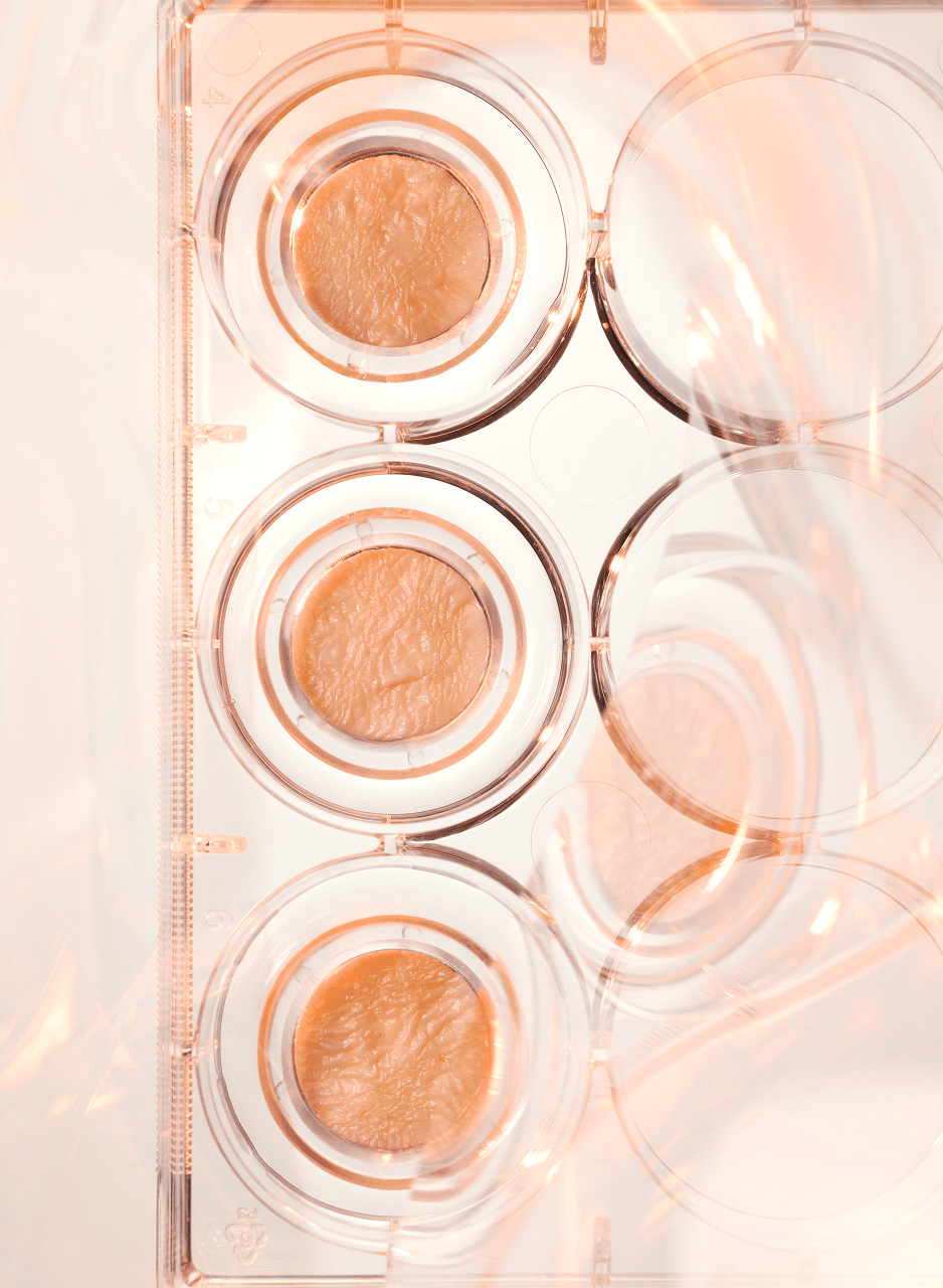 Close up shot of 3 samples in a tray