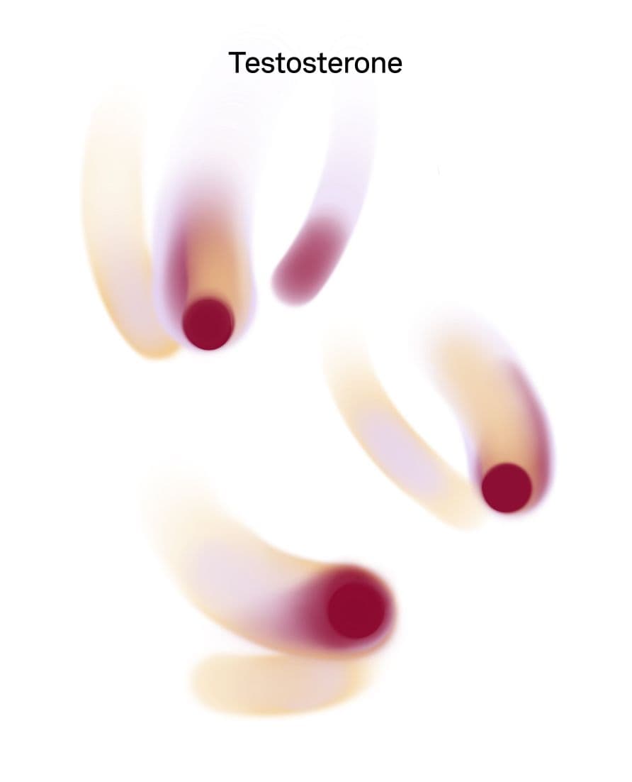 graphic