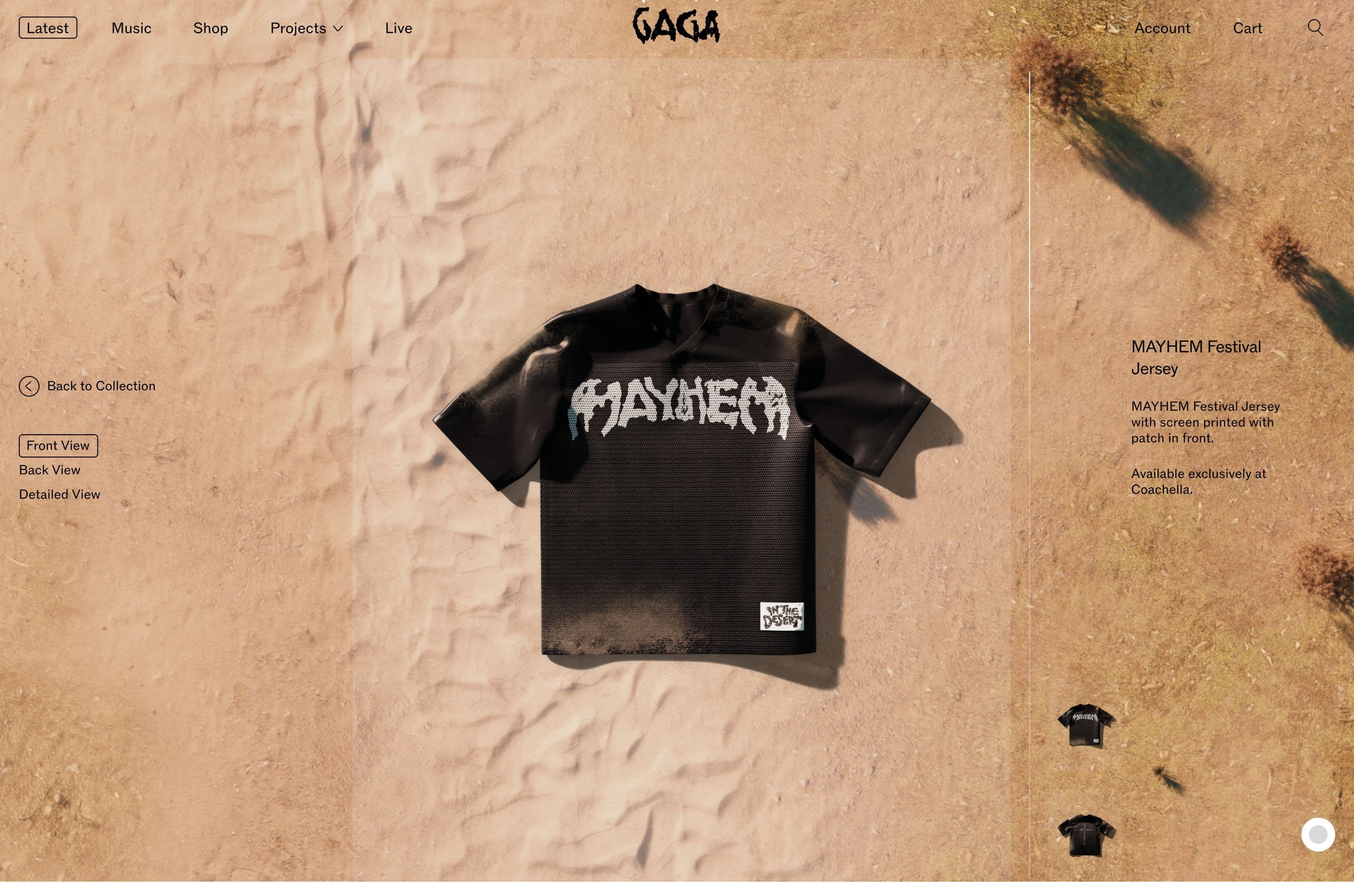Screenshot from the Coachella collection on Ladygaga.com